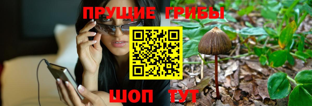 Галлюциногенные грибы ЛСД  Вход с VPN  Славянск-на-Кубани 